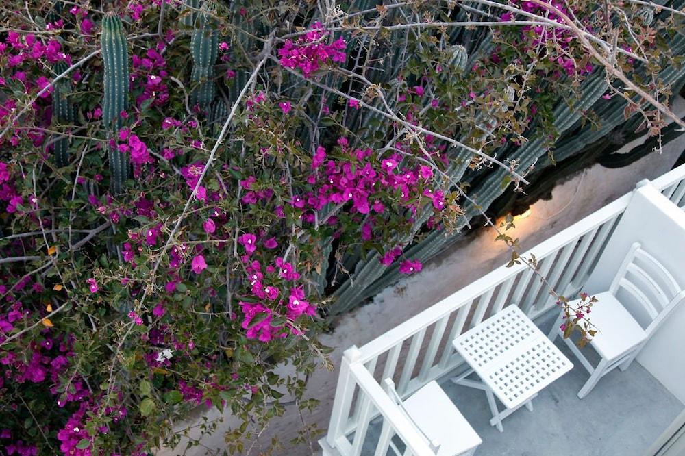 Fresh Boutique Hotel Mykonos Town Luaran gambar