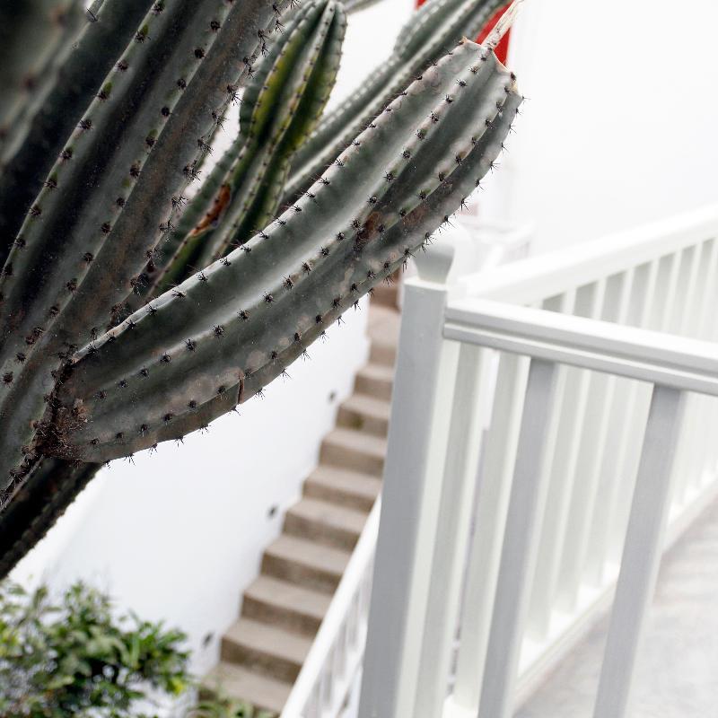 Fresh Boutique Hotel Mykonos Town Luaran gambar